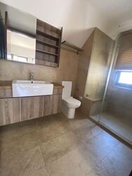 Holland Link (D10), Terrace #618842991